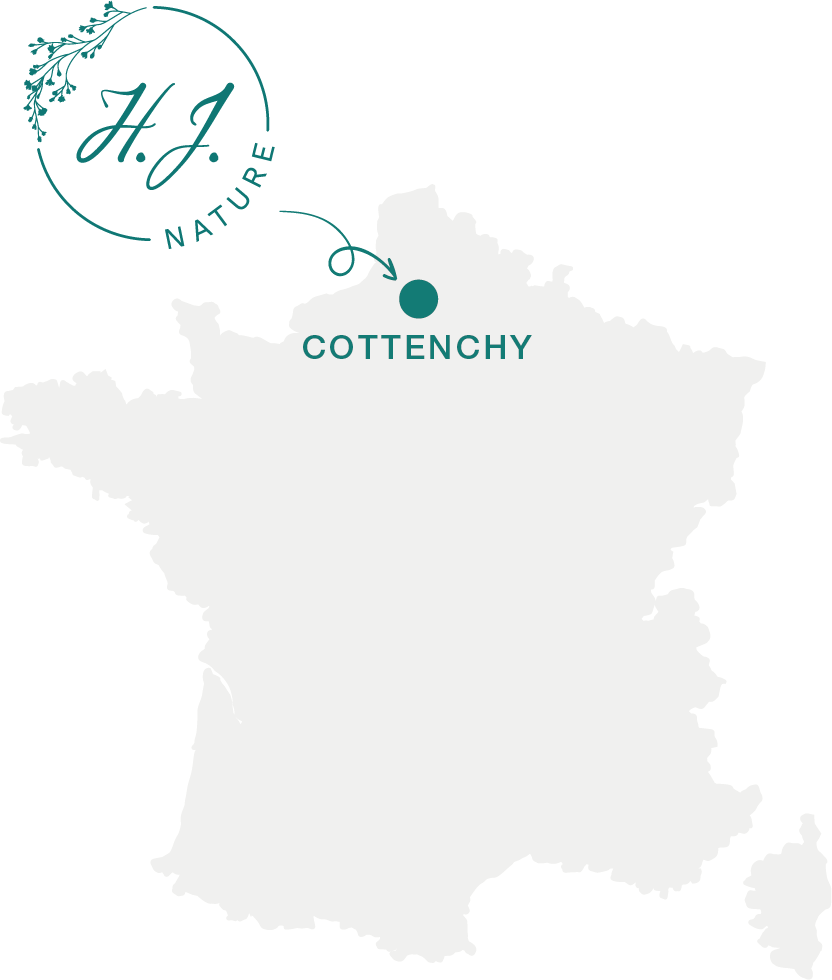 Cottenchy